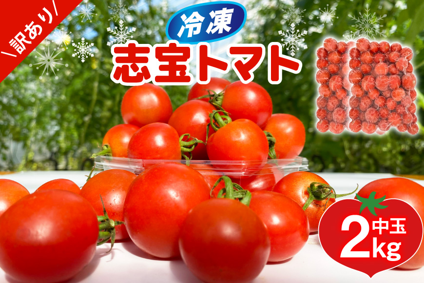 訳あり 野菜 トマト 冷凍志宝トマト（シンディスイート）中玉 2kg [モアショップヤマモト 石川県 宝達志水町 38601220] とまと 中玉 不揃い 規格外 2キロ わけあり 訳アリ 家庭用 やさい tomato