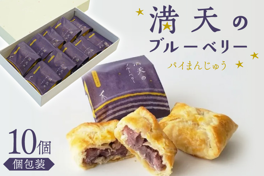 お菓子 個包装 満天のブルーベリー 10個入 [谷口製菓 石川県 宝達志水町 38601295] 菓子 焼菓子 菓子折り 和菓子 パイ スイーツ おかし おやつ 常温 ブルーベリー