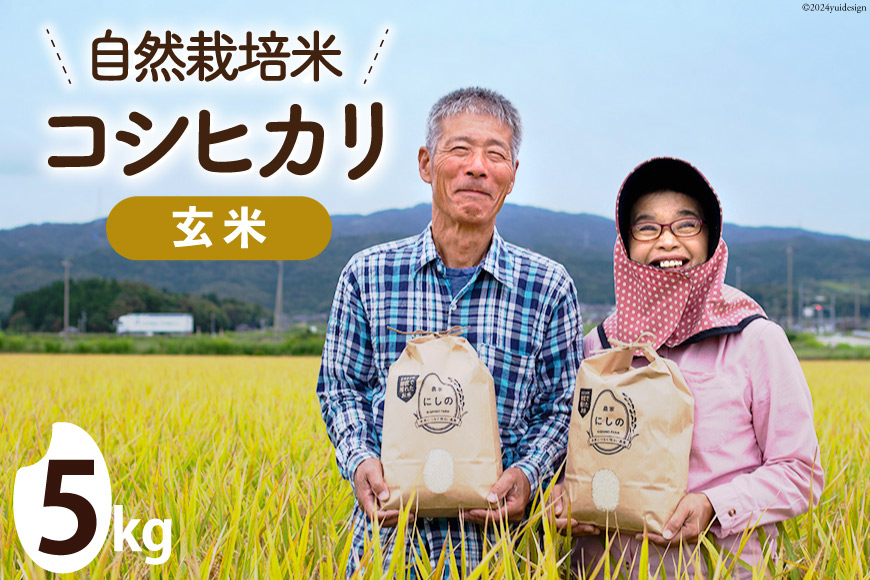 [期間限定発送]米 令和6年 自然栽培米コシヒカリ 玄米 5kg×1 [農家にしの 石川県 宝達志水町 38600883] 令和6年産 お米 こめ コメ 5kg 5キロ こしひかり ご飯 ごはん 玄米
