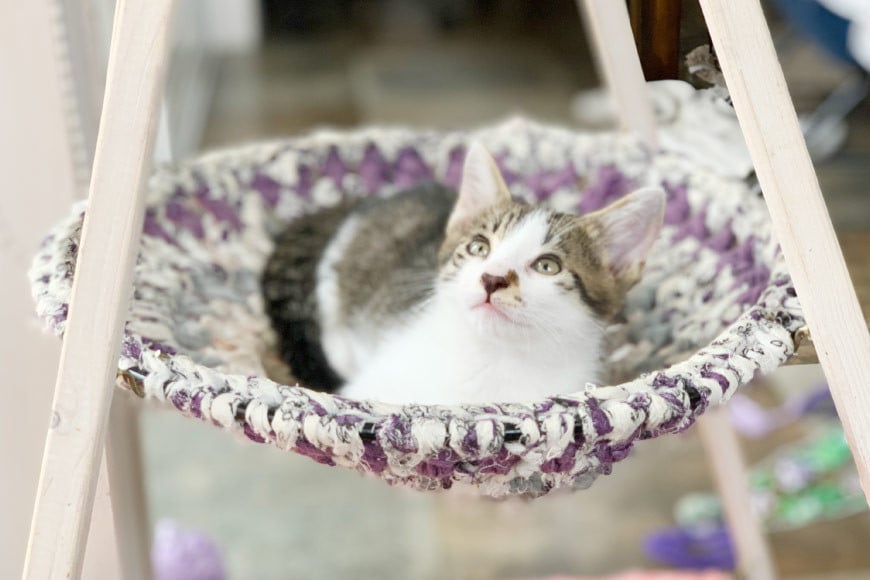 猫 ハンモック ねこいとハンモック 1段タイプ [ねこいとハンモックpama 石川県 中能登町 27ao0013] キャットタワー 木製 キャット タワー 猫ハンモック