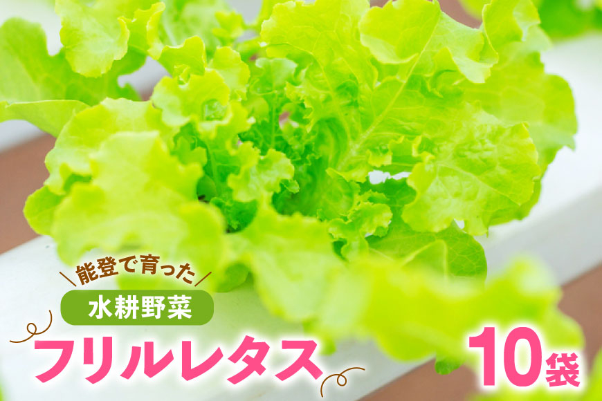 フリルレタス 10袋 セット [バイテックベジタブルファクトリー 石川県 中能登町 27ap0001] 野菜 レタス 葉物 葉物野菜 水耕栽培