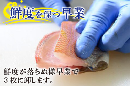 小鯛ささ漬 大樽 180g×3樽 計540g  【配送不可地域：離島】  [BFAA045]