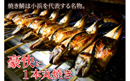 へしこと焼き鯖セット  【配送不可地域：北海道・沖縄・離島】  [BFAA061]