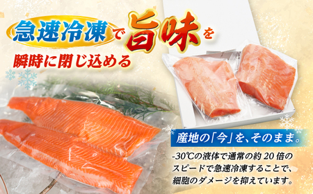 国産 ふくいサーモン 200g×3パック 合計600g  【配送不可地域：北海道・沖縄・離島】  [BFAA076]