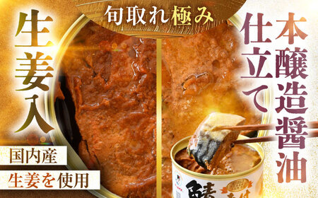 鯖缶詰 12缶 詰め合わせD 180g×12缶 本醸造醤油仕立て 生姜 味噌煮 / サバ缶 鯖缶 さば缶 鯖 サバ さば 小浜市 / 福井缶詰 [BFAB059]