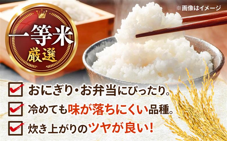 【先行予約/10月下旬以降順次発送】【令和8年産】 福井県産 あきさかり 白米 10kg 若狭の恵 | 米 お米 コメ こめ 白米 精米 10キロ 新米 [BFAG014]