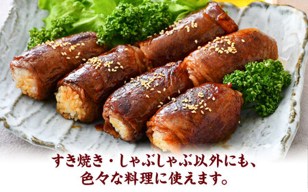 三ツ星 若狭牛 ロース または 肩ロース スライス 550g｜牛肉 和牛 焼肉 若狭牛お肉 肉 肉セット 冷凍 550g ブランド牛 牛丼 炒め物 三ツ星牛 三ツ星 ギフト 贈答   【配送不可地域：北海道・沖縄・離島】  [BFAP005]