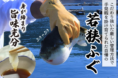 【先行予約/10月15日より順次配送】【着日指定・のし対応可】【冷蔵でお届け】 若狭ふぐ 料理 セット 2人前  【配送不可地域：北海道・沖縄・離島】  [BFAZ005]
