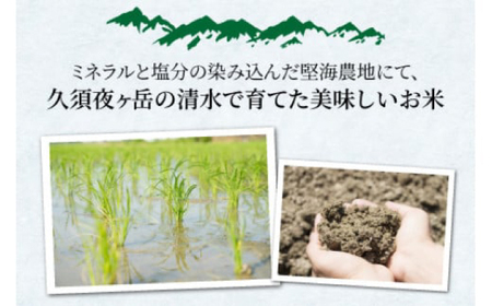 【先行予約/10月中旬以降発送】【令和8年産】福井県産コシヒカリ「千石」 米 10kg 新米 お米 福井県 小浜市 / 千石の郷 [BFCA001]