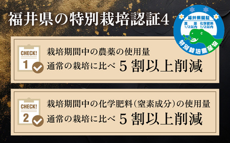 【 先行予約 /11月以降発送】【令和8年産】福井県産 コシヒカリ 10kg お米 白米 小浜市 / 今富の宝 [BFCI005]