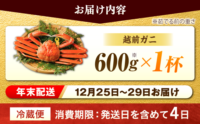 【先行予約/12月25日より順次発送】【年末希望】 越前がに 600ｇ×1杯 ズワイガニ ずわいがに ボイル 冷蔵 小浜市 / まるほ商店 【配送不可地域：北海道・沖縄・離島】[BFCS033]