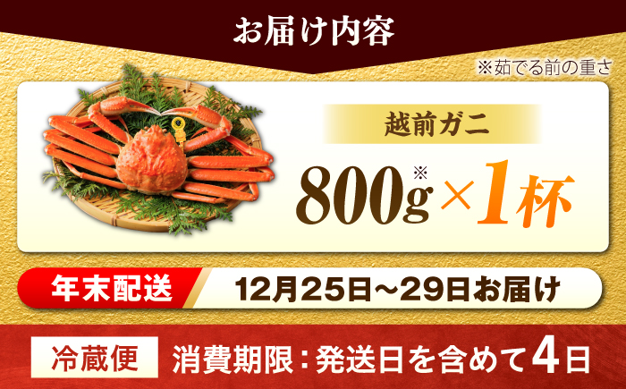 【先行予約/12月25日より順次発送】【年末希望】 越前がに 800ｇ×1杯 ズワイガニ ずわいがに ボイル 冷蔵 小浜市 / まるほ商店 【配送不可地域：北海道・沖縄・離島】[BFCS039]