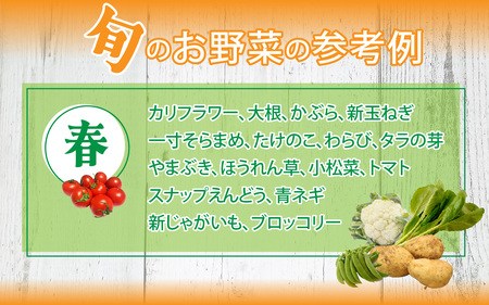 小浜市産 春夏野菜セット 7品目以上[BFDB002]