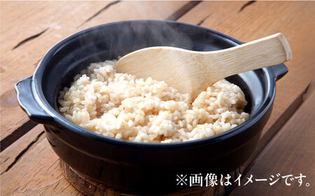 【令和8年産 新米】 【先行予約 /8月下旬より順次発送 】 ハナエチゼン 玄米 10kg×2 （20kg） / 米 お米 健康 小浜市 / 北川博司 [BFDG005]