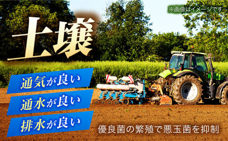 【令和8年産 新米】 【 先行予約 /9月中旬から発送】　福井県産 ラクト農法 コシヒカリ 白米 10kg / 米 お米 精米 国産米   / 小浜市 / 北川博司 [BFDG006]