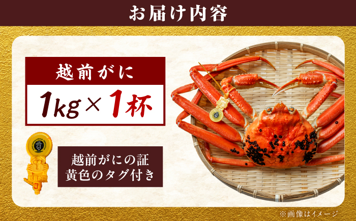 【先行予約/11月18日より順次配送】越前がに 1kg×1杯 茹で 福井県産ズワイガニ / かに カニ 蟹 越前ガニ ズワイガニ ボイル / 小浜市 / 一進わかさ【配送不可地域：北海道・沖縄・離島】 [BFES009]
