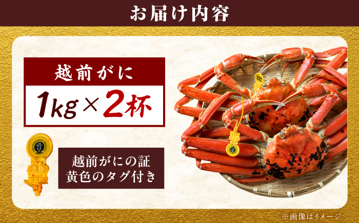 【先行予約/11月18日より順次配送】越前がに 1kg×2杯 茹で 福井県産ズワイガニ / かに カニ 蟹 越前ガニ ズワイガニ ボイル / 小浜市 / 一進わかさ【配送不可地域：北海道・沖縄・離島】 [BFES010]