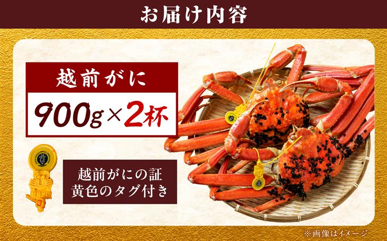 【先行予約/11月18日より順次配送】【訳あり】越前がに 900g×2杯 茹で 福井県産ズワイガニ 脚折れ・欠け / かに カニ 蟹 越前ガニ ズワイガニ ボイル / 小浜市 / 一進わかさ【配送不可地域：北海道・沖縄・離島】 [BFES024]
