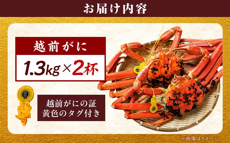 【先行予約/11月18日より順次配送】【訳あり】越前がに 1.3kg×2杯 茹で 福井県産ズワイガニ 脚折れ・欠け / かに カニ 蟹 越前ガニ ズワイガニ ボイル / 小浜市 / 一進わかさ【配送不可地域：北海道・沖縄・離島】 [BFES032]