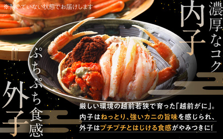【先行予約/11月7日より順次発送】朝ゆで国産セイコガニ　10杯  【配送不可地域：北海道・沖縄・離島】  [BFAA005]