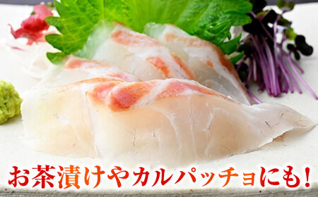 旬鮮お刺身　若狭真鯛  【配送不可地域：北海道・沖縄・離島】  [BFAA047]