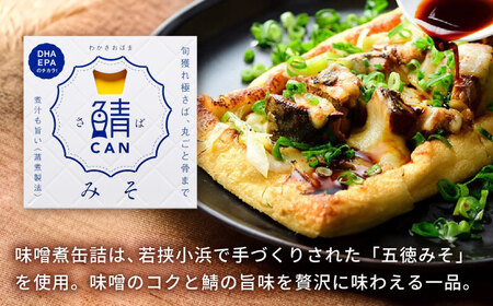 旬獲れ 鯖缶詰　3ヶ詰め合わせ(味付・味噌・水煮) [BFAA054]