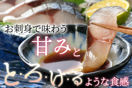 国産 小浜よっぱらいサバ 半身95g×4枚 合計380g  【配送不可地域：北海道・沖縄・離島】  [BFAA057]