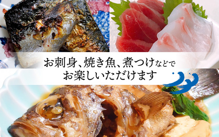 御食の国 若狭小浜より！獲れたて鮮魚BOX｜4～5kg 4～7種  【配送不可地域：北海道、北東北（秋田、青森、岩手）、九州、沖縄、離島】  [BFAA060]