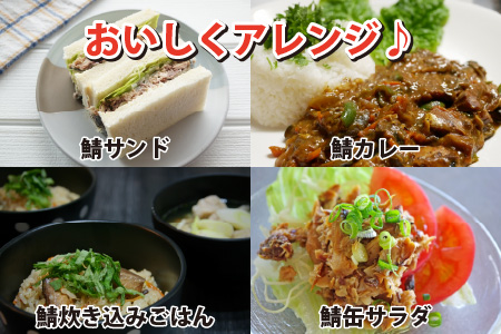 旬獲れ極み鯖味付缶詰　【本醸造醤油仕立て】　16缶｜ サバ缶 鯖缶 さば缶 鯖 サバ さば 缶詰 サバ缶詰 鯖缶詰 缶 詰合せ 詰め合せ セット 非常食 防災 備蓄 常温 常備食 保存食 [BFAB005]