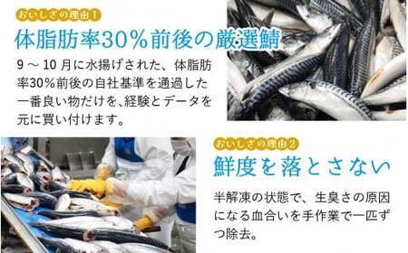 鯖味付缶詰【本醸造醤油仕立て】 180g×12缶 ｜ サバ缶 鯖缶 さば缶 鯖 サバ さば 缶詰 サバ缶詰 鯖缶詰 缶 詰合せ 詰め合せ セット 非常食 防災 備蓄 常温 常備食 保存食 [BFAB014]