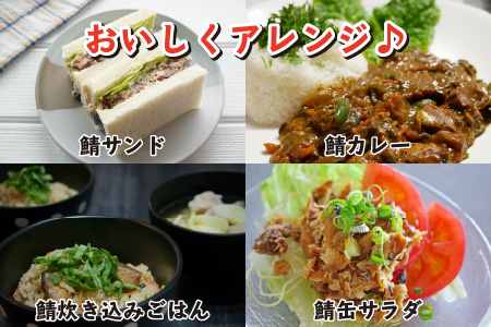 鯖缶詰6缶  詰め合わせB 180g×6缶 本醸造醤油仕立て 唐辛子 味噌煮 ｜サバ缶 鯖缶 さば缶 鯖 サバ さば 缶詰 サバ缶詰 鯖缶詰 缶 詰合せ 詰め合せ セット 非常食 防災 備蓄 常温 常備食 保存食 [BFAB032]
