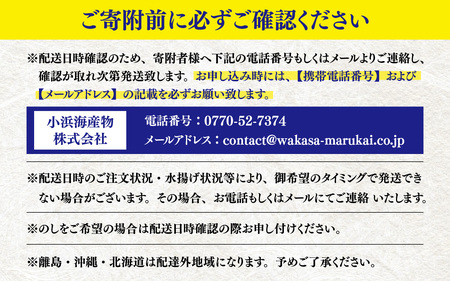 厳選 お楽しみ海鮮定期便 Extra　全6回 | 越前がに ズワイガニ カニ 蟹 ずわいがに えび サーモン ふくいサーモン 鯖 サバ 鯛 タイ 小鯛 ささ漬け うなぎ 冷凍 冷蔵 小分け 福井県 小浜市 日本海  【配送不可地域：北海道・沖縄・離島】  [BFAA007]