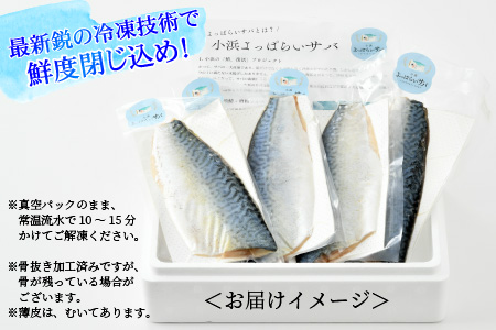 国産 小浜よっぱらいサバ 半身95g×4枚 合計380g  【配送不可地域：北海道・沖縄・離島】  [BFAA057]