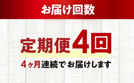 【4回定期便】王道なめらかプリン / プリン プリン プリン 小浜市 / 志保重 【配送不可地域：離島】 [BFBF018]