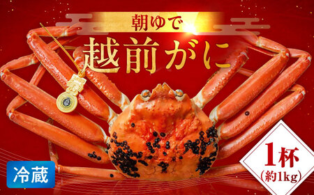 【先行予約/11月7日より順次発送】朝ゆで 越前がに1杯　【1kg】 / ずわいがに 蟹 ズワイガニ 小浜市 / 小浜海産物 【配送不可地域：北海道・沖縄・離島】  [BFAA003]