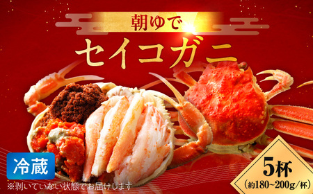 【先行予約/11月7日より順次発送】朝ゆで国産セイコガニ　5杯| 蟹 かに カニ 越前ガニ 越前がに せいこがに セイコガニ せいこ蟹 ボイル 5匹 福井 冷蔵 メス ずわいがに 送料無料 セコガニ せこがに せいこ セイコ せいこガニ セイコ蟹  【配送不可地域：北海道・沖縄・離島】  [BFAA004]