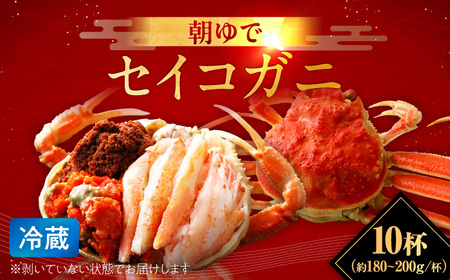 【先行予約/11月7日より順次発送】朝ゆで国産セイコガニ　10杯  【配送不可地域：北海道・沖縄・離島】  [BFAA005]