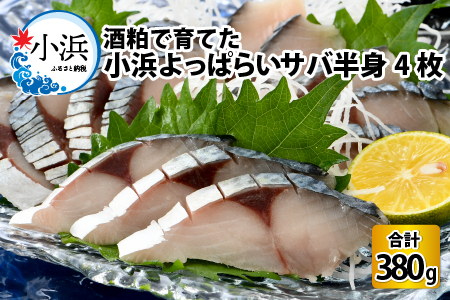 国産 小浜よっぱらいサバ 半身95g×4枚 合計380g  【配送不可地域：北海道・沖縄・離島】  [BFAA057]