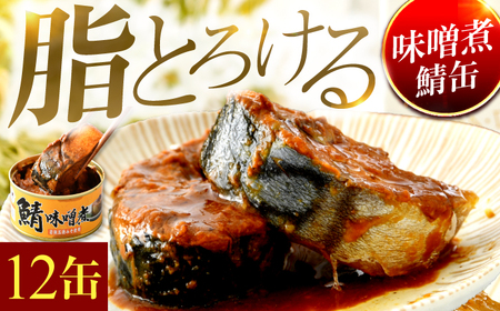 鯖味噌煮缶詰　12缶｜ サバ缶 鯖缶 さば缶 鯖 サバ さば 缶詰 サバ缶詰 鯖缶詰 缶 詰合せ 詰め合せ セット 非常食 防災 備蓄 常温 常備食 保存食 [BFAB026]