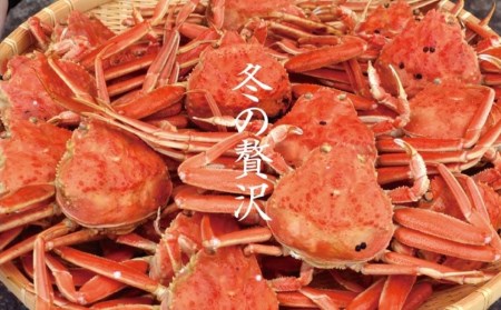 越前せいこ蟹　2～3杯(450g以上) | カニ かに 蟹 せいこ メス メスガニ 冷凍  【配送不可地域：北海道・沖縄・離島】  [BFAE024]