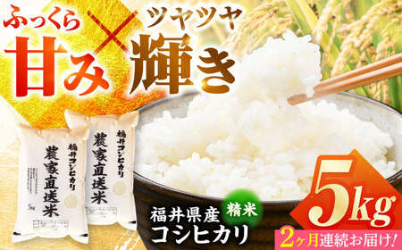【定期便2回】【令和7年産】 福井県産こしひかり 精米 5kg 小浜市 / シマダ農園 [BFAV009]