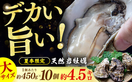 【先行予約 / 2027年6月下旬より順次発送】 若狭湾 生食用 天然岩牡蠣 大10個（軍手、牡蠣ナイフ付き） 小浜市 / 加福鮮魚【配送不可地域：北海道・沖縄・離島】 [BFBC010]
