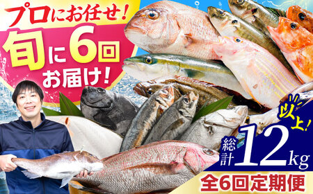 【定期便】 【全6回(隔月発送)】 【下処理済】 旬の天然鮮魚 2kg おまかせ セット 【加福鮮魚】「若狭小浜港産地直送」！　小浜市 / 加福鮮魚  【配送不可地域：北海道、北東北（秋田、青森、岩手）、九州、沖縄、離島】  [BFBC016]