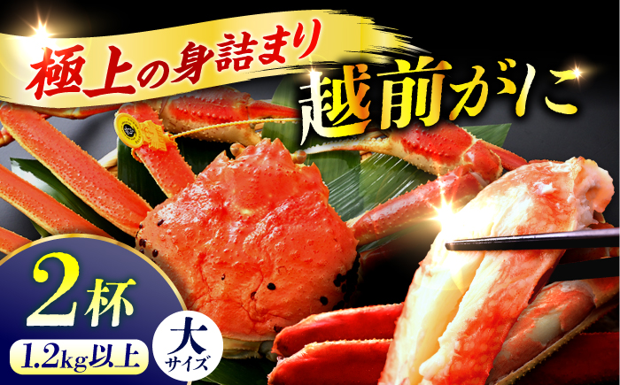 【先行予約/11月7日より順次発送予定】【冷蔵】「若狭小浜港産地直送」 越前がに (ズワイガニ) ボイル 大 2杯 小浜市/加福鮮魚 [BFBC021]【配送不可地域：北海道・沖縄・離島】