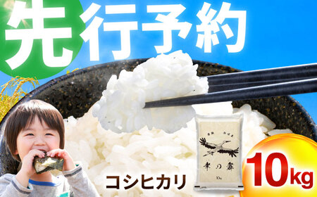 【 先行予約 /11月以降発送】【令和8年産】福井県産 コシヒカリ 10kg お米 白米 小浜市 / 今富の宝 [BFCI005]