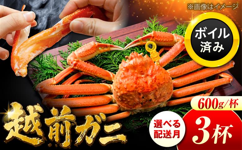 【先行予約/11月7日より順次発送】 【希望月指定可】 越前がに 600ｇ×3杯 / 蟹 ズワイガニ ずわいがに ボイル 冷蔵 小浜市 / まるほ商店 【配送不可地域：北海道・沖縄・離島】[BFCS020]