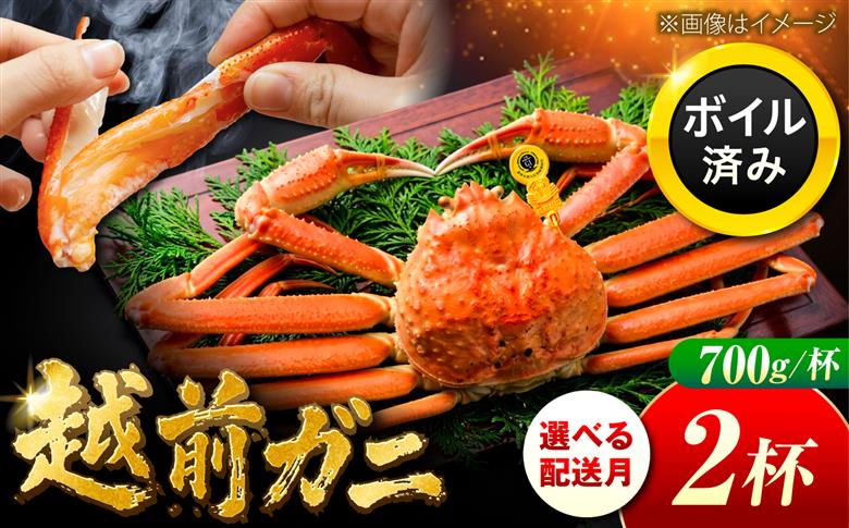 【先行予約/11月7日より順次発送】 【希望月指定可】 越前がに 700ｇ×2杯 / 蟹 ズワイガニ ずわいがに ボイル 冷蔵 小浜市 / まるほ商店 【配送不可地域：北海道・沖縄・離島】[BFCS022]
