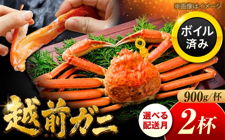 【先行予約/11月7日より順次発送】 【希望月指定可】 越前がに 900ｇ×2杯 / 蟹 ズワイガニ ずわいがに ボイル 冷蔵 小浜市 / まるほ商店 【配送不可地域：北海道・沖縄・離島】[BFCS028]
