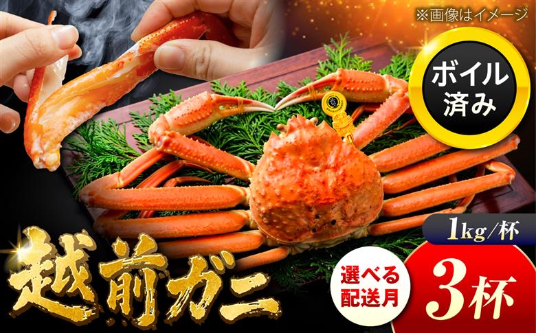 【先行予約/11月7日より順次発送】 【希望月指定可】 越前がに 1kg×3杯 / 蟹 ズワイガニ ずわいがに ボイル 冷蔵 小浜市 / まるほ商店 【配送不可地域：北海道・沖縄・離島】[BFCS032]