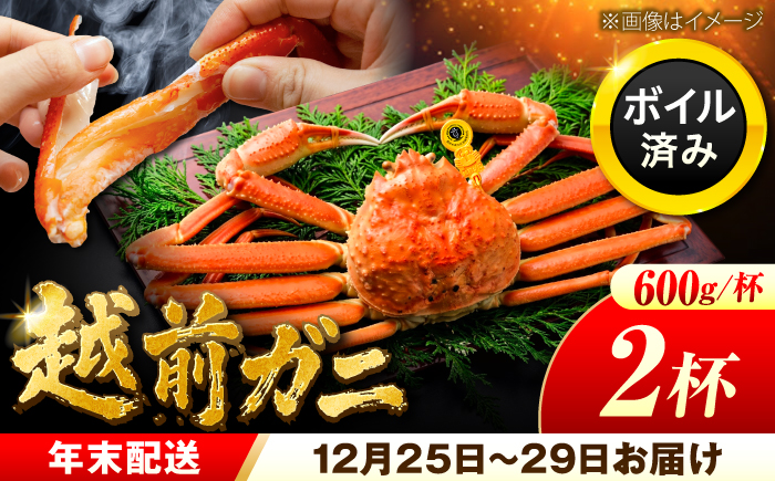 【先行予約/12月25日より順次発送】【年末希望】 越前がに 600ｇ×2杯 ズワイガニ ずわいがに ボイル 冷蔵 小浜市 / まるほ商店 【配送不可地域：北海道・沖縄・離島】[BFCS034]